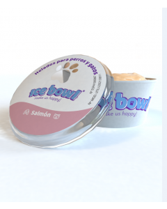 ICE BOWL SABOR SALMON