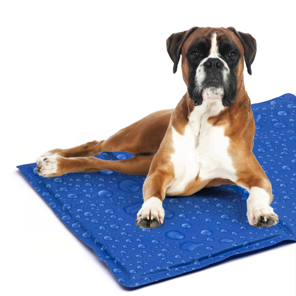 LEO PET ALFOMBRA REFRESCANTE PARA PERROS GRIS BURBUJAS 100X80CM 