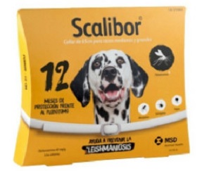 SCALIBOR 65 CM