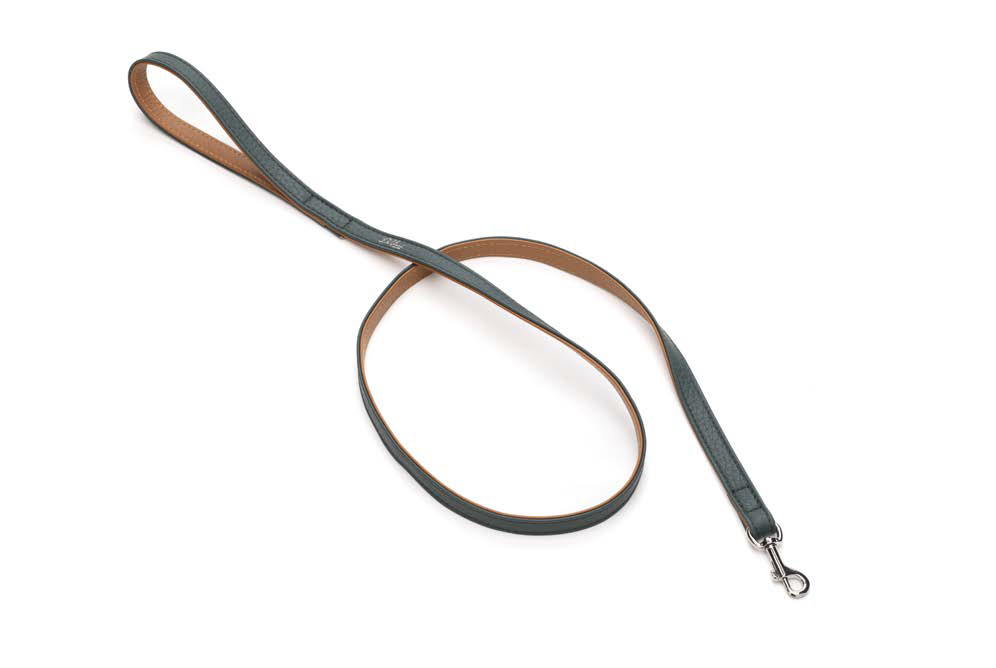 LEO PET CORREA DE CUERO BICOLOR VERDE BOSQUE Y MARRÓN CLARO 120X1.5CM