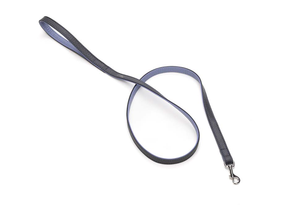 LEO PET CORREA DE CUERO BICOLOR AZUL MARINO Y AZUL CLARO 120X1.5CM 