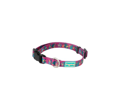 [10482003] FREEDOG VERANO COLLAR TUCAN 20mm x 20/65cm T-M