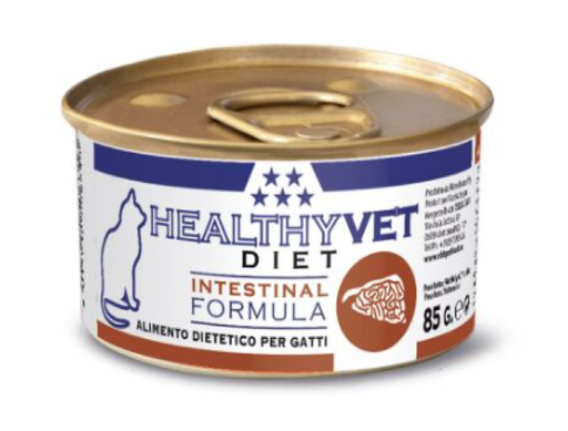 [911] HEALTHY VET CAT INTESTINAL 85GR (24 UND.)