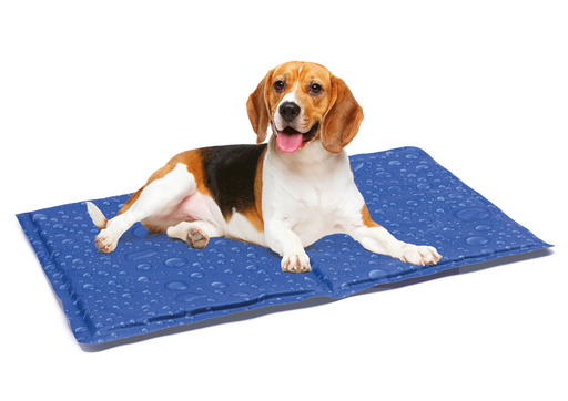 [351182] LEO PET ALFOMBRA REFRESCANTE BURBUJAS 90x50CM