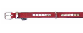 [FD4000407] FREEDOG COLLAR ROCK ROJO 2,5X55CM