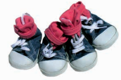 [FD6000017] FREEDOG DEPORTIVAS ALLSTAR T-S