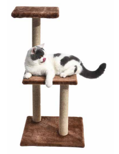 [120040412] FREEDOG RASCADOR FLOOR 40X40X81 CM MARRÓN