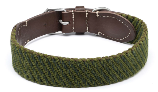 [DV39.50] LEO PET COLLAR DE CINTA COLOR LISO VERDE LAVADO 50X3.5CM